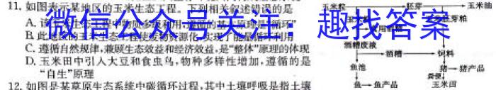 2024年陕西省高三教学质量检测试题(三)生物