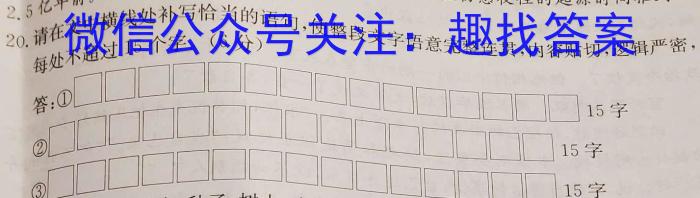 甘肃省白银市2024年九年级第一次诊断考试(24-02-RCCZ13c)语文