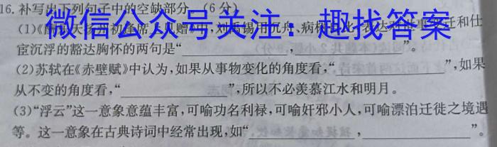 炎德英才大联考 湖南师大附中2023-2024学年度高二第二学期期中考试语文