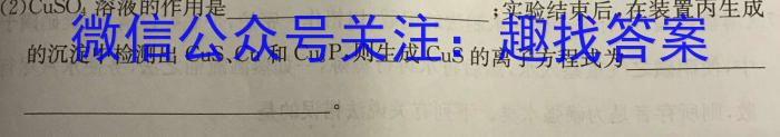 安徽省2024届九年级下学期2月联考化学