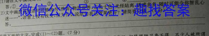 安徽省阜阳市2023-2024学年下学期期末七年级质量检测语文