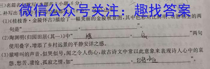 [佩佩教育]2024年普通高校统一招生考试 湖南四大名校名师团队猜题卷（A）语文