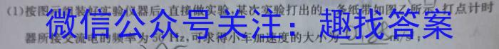 2024届陕西省九年级学业水平质量监测(两个实心菱形)物理`