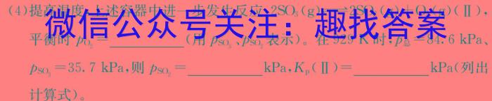 2024年安徽省初中学业水平考试 定心卷化学