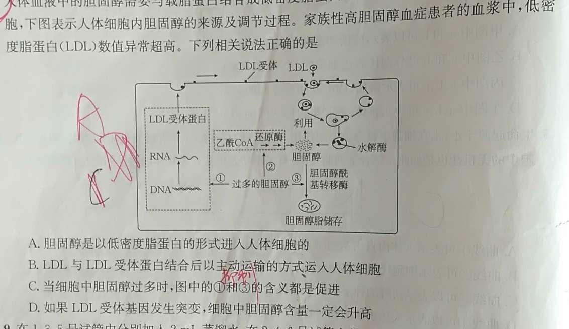 ［贵州大联考］贵州省2024-2025学年高二年级上学期9月联考生物