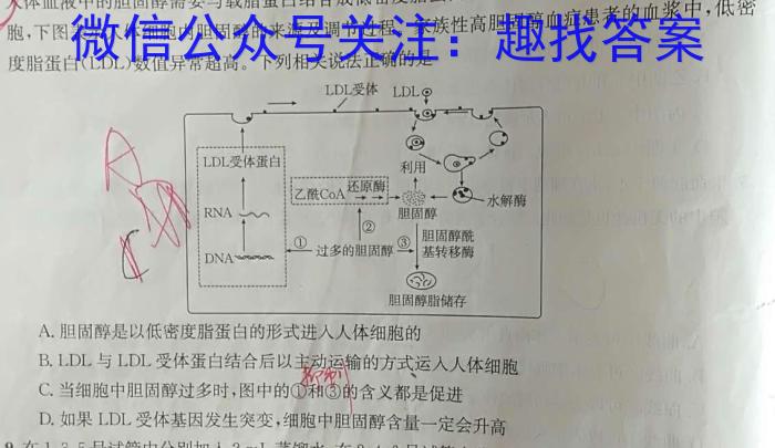 百师联盟 2023~2024学年度下学期高二年级期中联考生物学试题答案