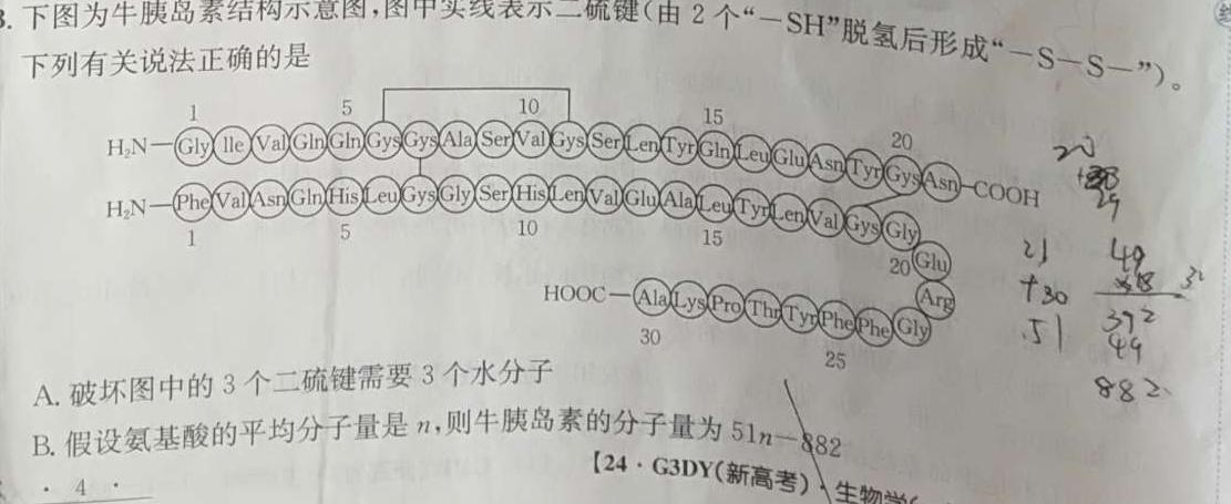 1号卷·2024年A10联盟2023级高二上学期9月初开学摸底考生物