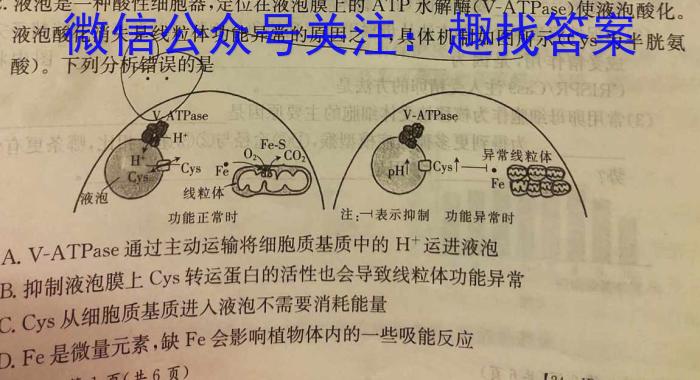 安徽省2023-2024学年度八年级阶段质量检测［PGZX D-AH◎］生物学试题答案