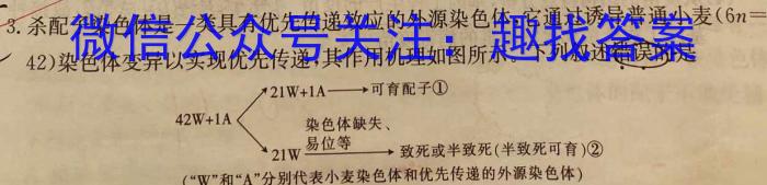 安徽省2024-2025学年度高二开学摸底大联考生物学试题答案