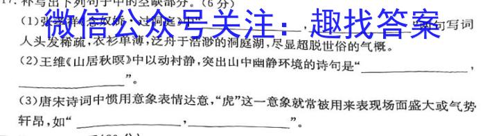 学林教育 2024年陕西省初中学业水平考试·信息猜题卷语文