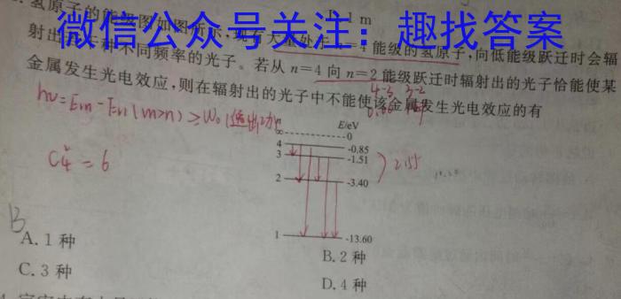 伊犁州直和兵团第四师、第七师高中学业水平 2024秋学期高三第一次质量监测试题物理试题答案