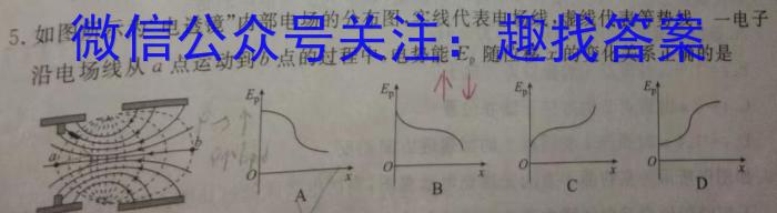 怀化二模2024高三适应性模拟考试(4月)物理`