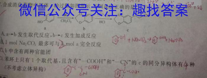 q2024年重庆市七校联盟 高三下学期第一学月联考化学