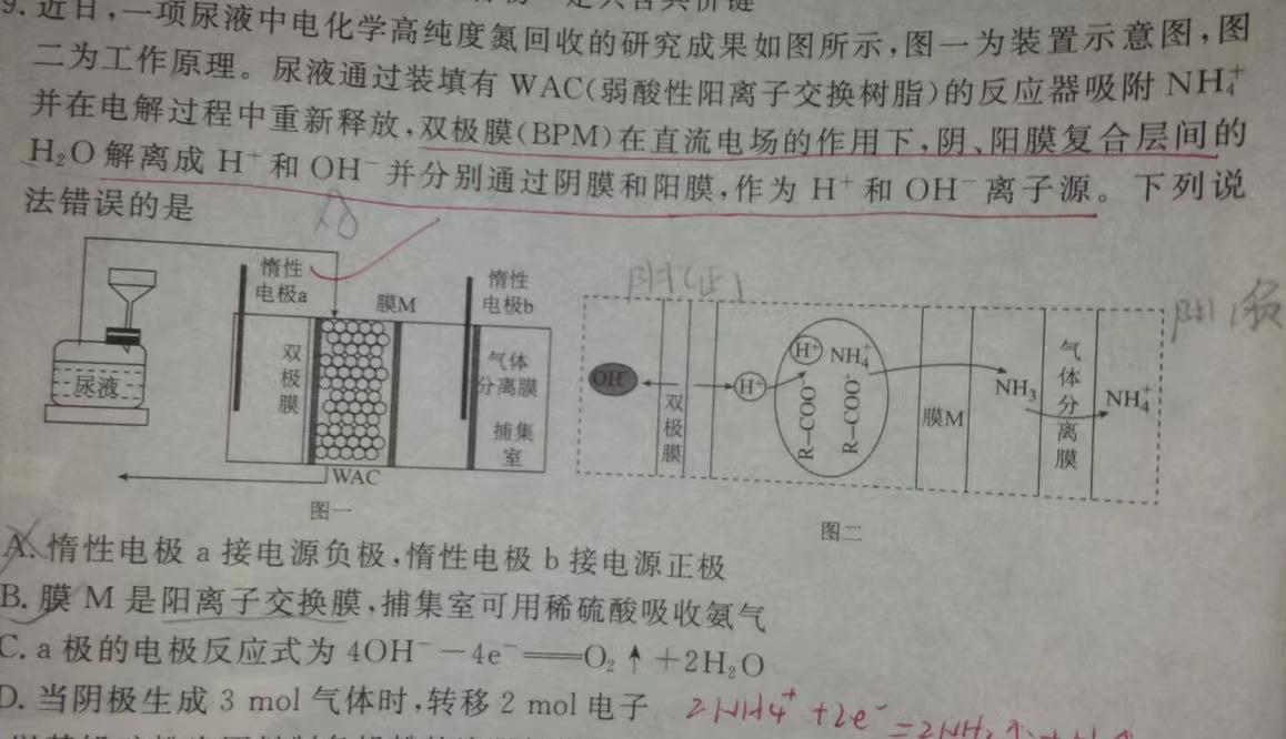 12024河南中考仿真模拟试卷(八)化学试卷答案