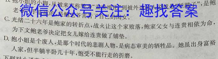 河南省2023-2024学年度第二学期八年级期末测试卷（BBRJ）语文