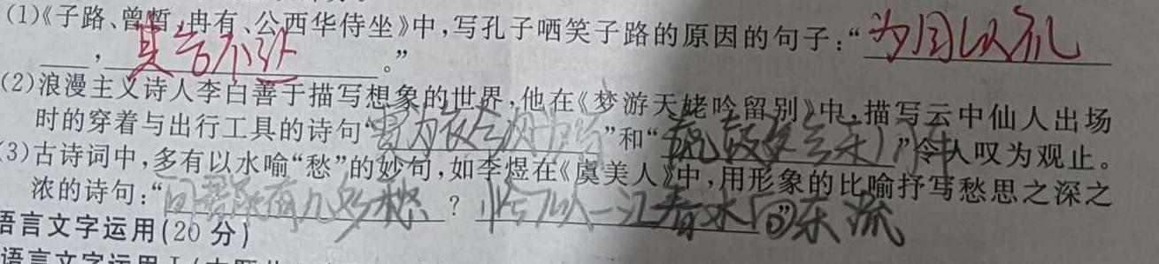 2024届湖北省高三试卷10月联考(24-16C)语文