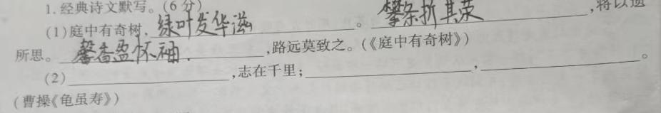 甘肃省2023-2024学年高一第一学期联片办学期中考试(11月)语文试卷 答案