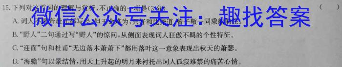 稳派大联考2023-2024学年高二期中考试11月联考语文