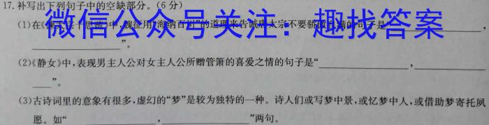 安徽省2023-2024学年度九年级阶段质量检测【R- PGZX D AH⭕】/语文