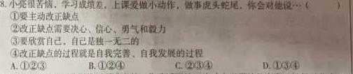 陕西省2023秋季九年级第二阶段素养达标测试（B卷）巩固卷思想政治部分