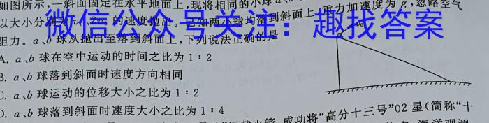 2023~2024学年山西省高二10月联合考试(24-36B)物理`