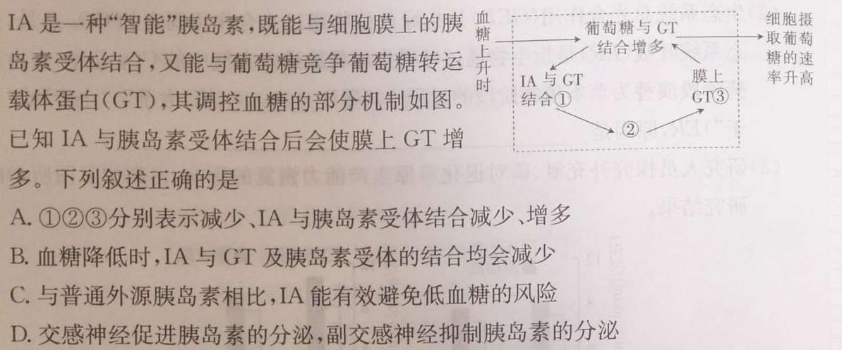 广西省普通高中2024届高三年级跨市联合适应性训练检测卷(24-29C)生物