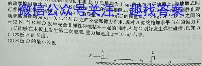 广西省2023-2024学年柳州高中/南宁二中高三(九月)联考物理`