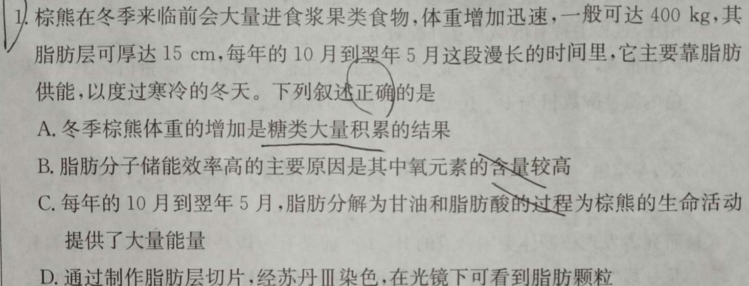 新高中创新联盟TOP二十名校2023-2024学年高一上学期11月调研考试生物学试题答案