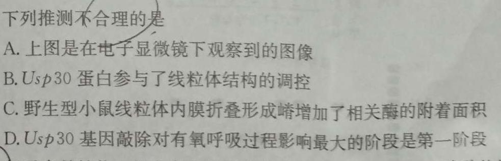 智慧上进 江西省2024届高三10月统一调研测试生物学试题答案