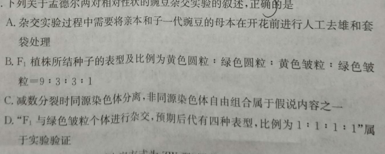 河北省唐山市十县一中联盟2023-2024学年高二上学期11月期中考试生物