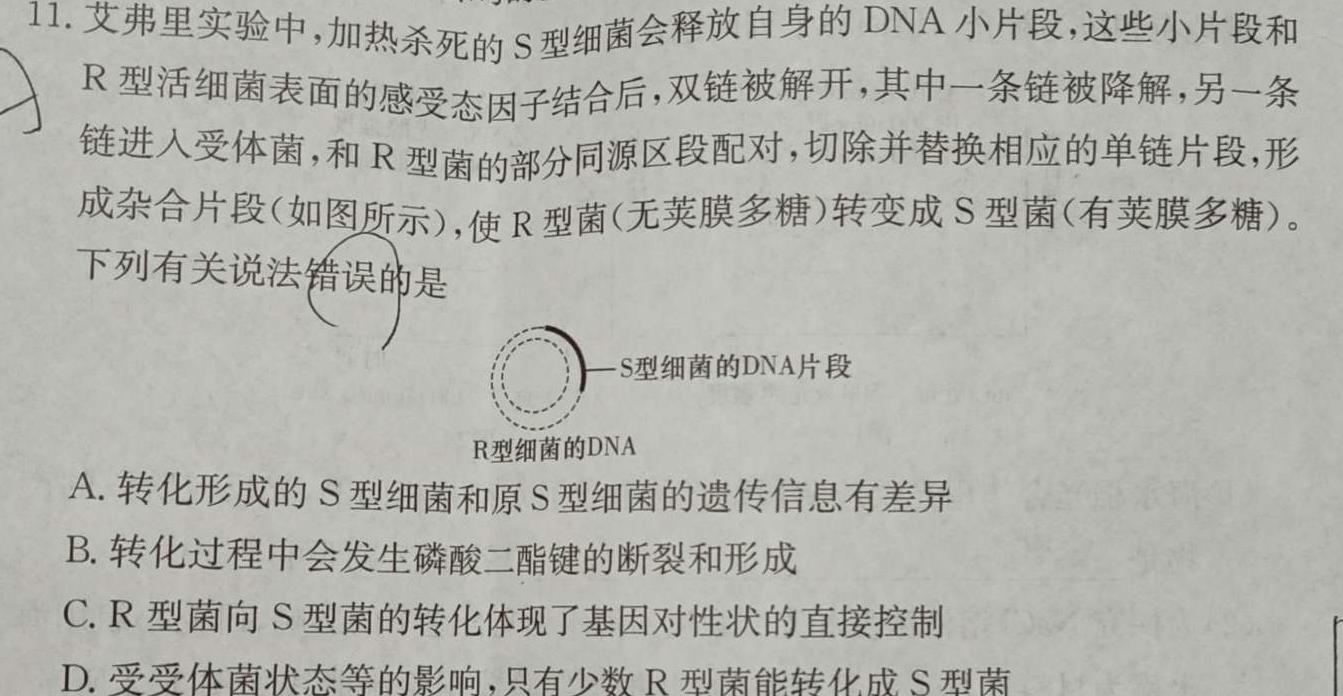 天一大联考2023-2024学年（上）高一年级阶段性测试（一）［安徽专版］生物学试题答案