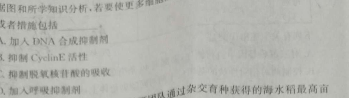 江西省2023一2024学年九年级高效课堂练习（二）生物学试题答案