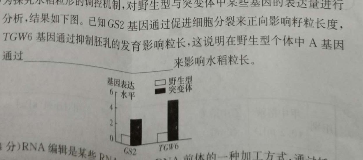 成都石室中学2023-2024学年度上学期高2024届十月月考生物学试题答案