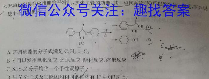 q湖北省2023-2024学年高二上学期部分普通高中期中考试化学