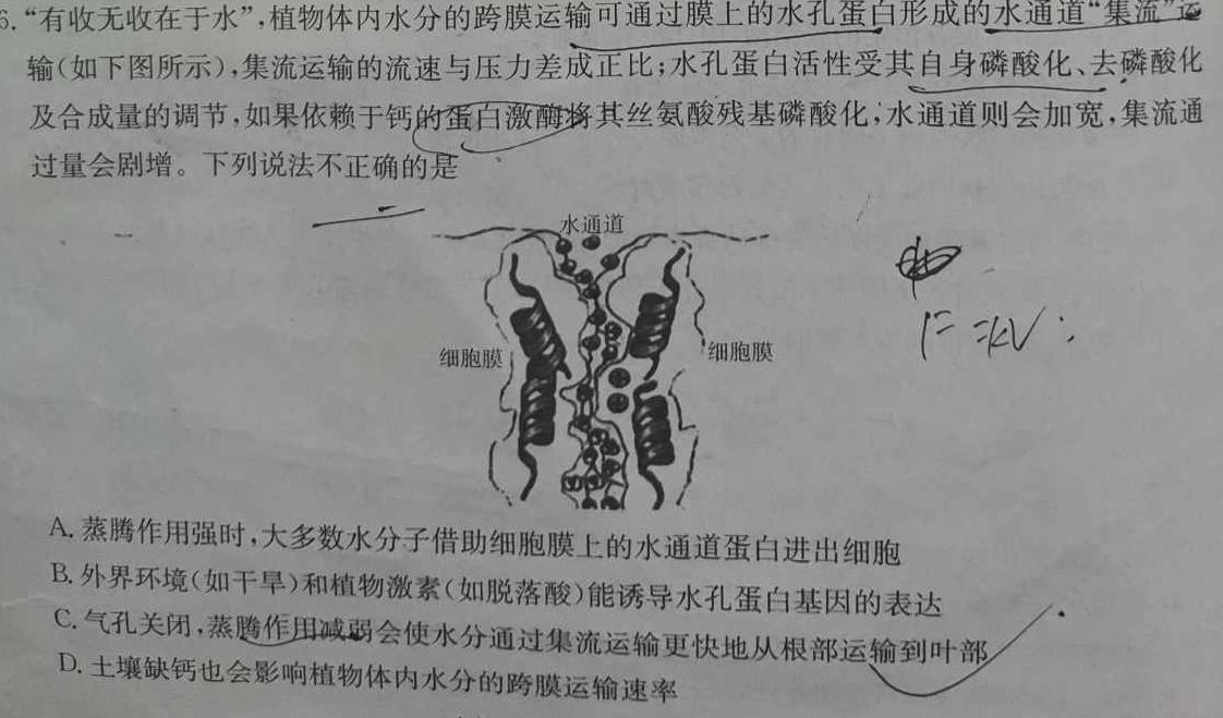 陕西省2023-2024学年度第一学期七年级阶段性学习效果评估（一）生物学试题答案