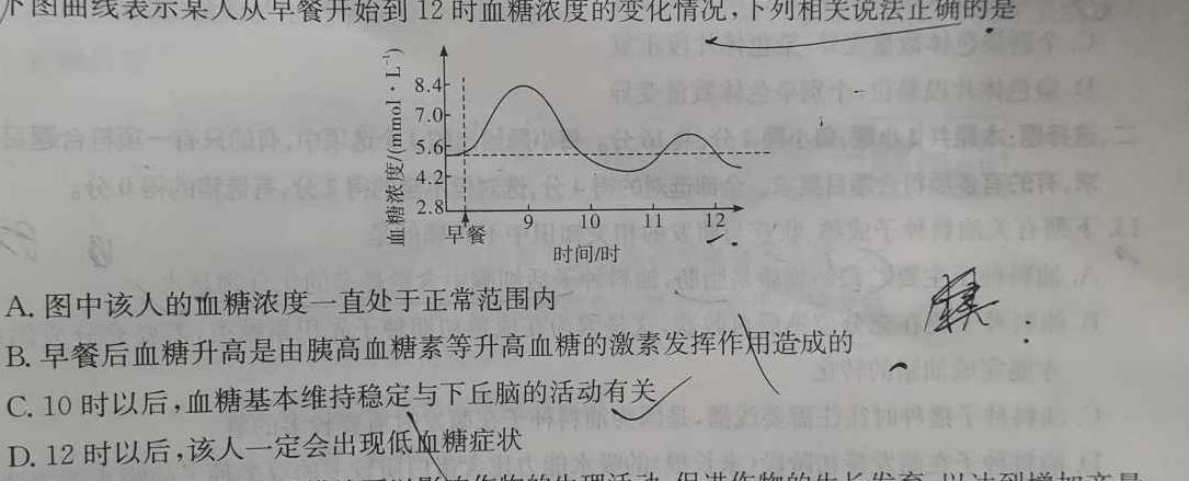 安徽省合肥市2024届九年级第一学期10月份阶段练习生物学试题答案