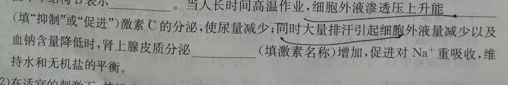 陕西省2024届九年级期中教学素养测评（二）生物