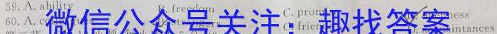 安徽省2023-2024学年度九年级上学期阶段性练习(一)1英语试题