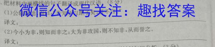 安徽省2023-2024学年度九年级阶段诊断(PGZXF-AH)(二)/语文