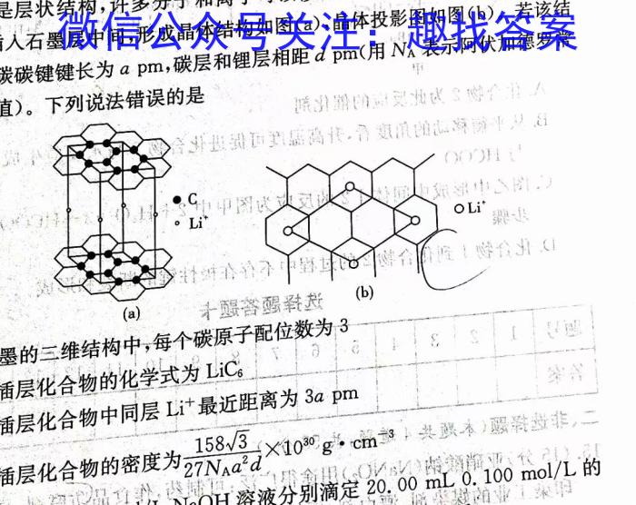 j河南省2023-2024学年度九年级大联考阶段评估卷（一）化学