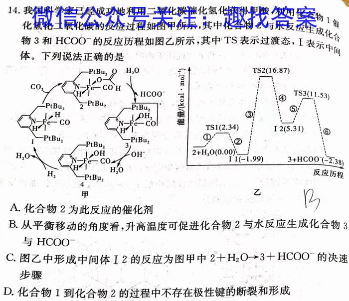 q洛平许济2023-2024学年高三第一次质量检测(10月)化学