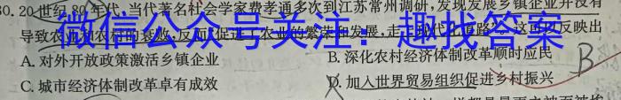 山西省2023-2024学年第一学期九年级期中双减教学成果展示历史