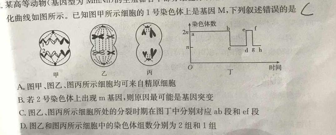 江西省2023-2024学年度八年级阶段性练习（二）生物