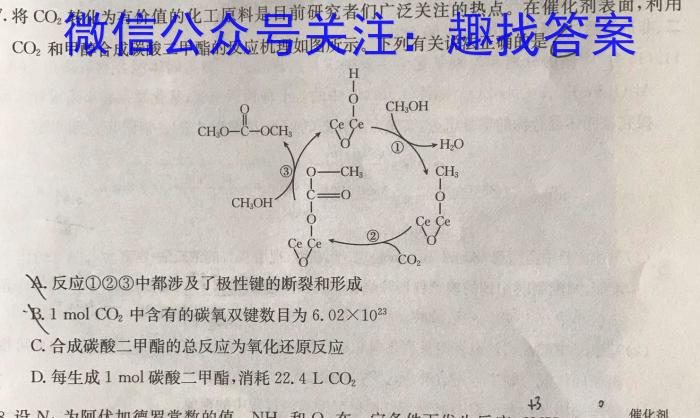 j天一文化海南省2023-2024学年高三学业水平诊断(二)化学