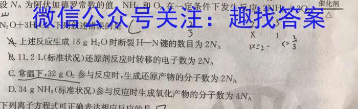 32023-2024学年云南省高二年级12月月考卷(24-215B)化学试题