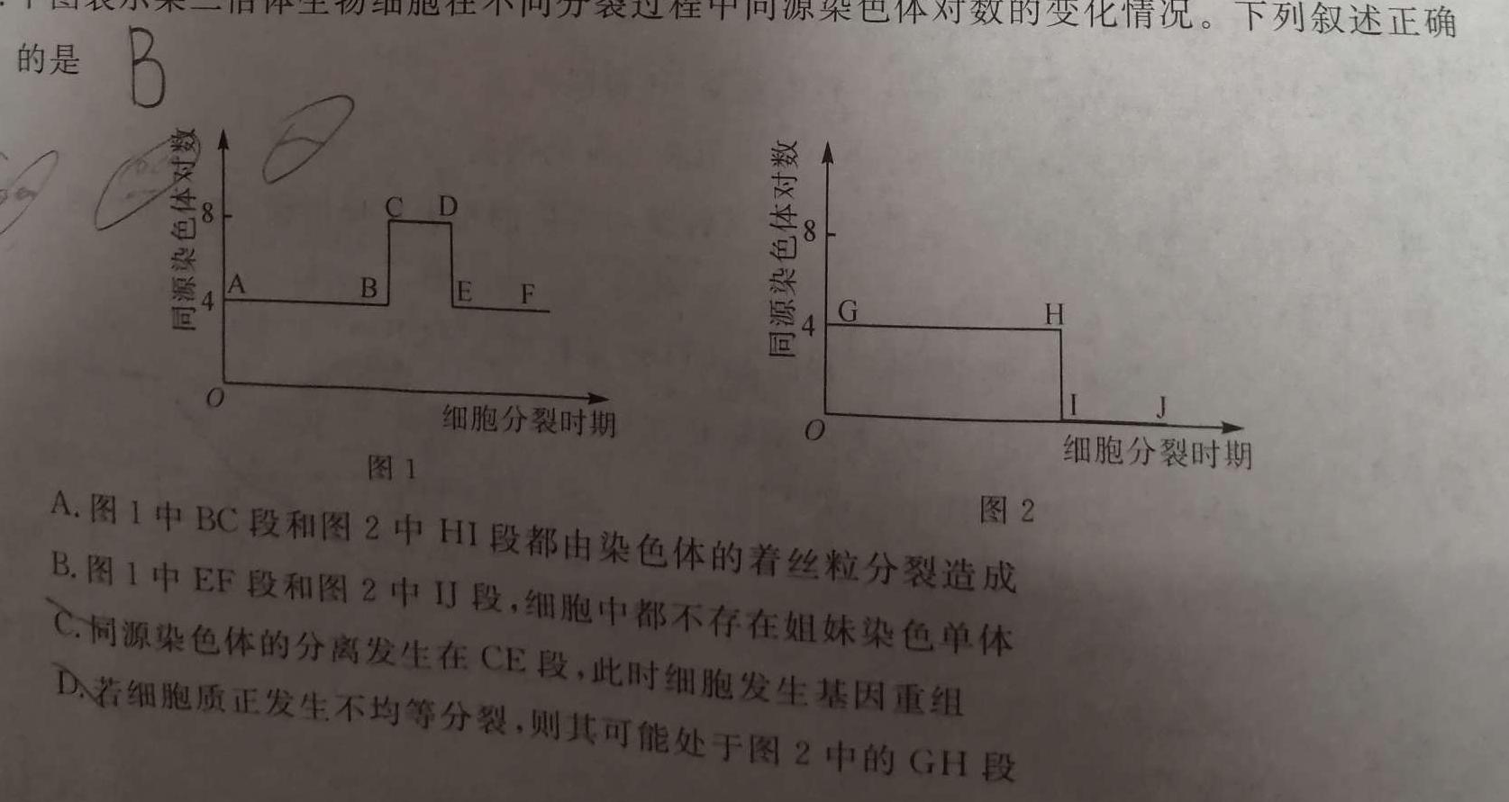 ［陕西大联考］陕西省2023-2024学年度高二年级上学期11月联考生物