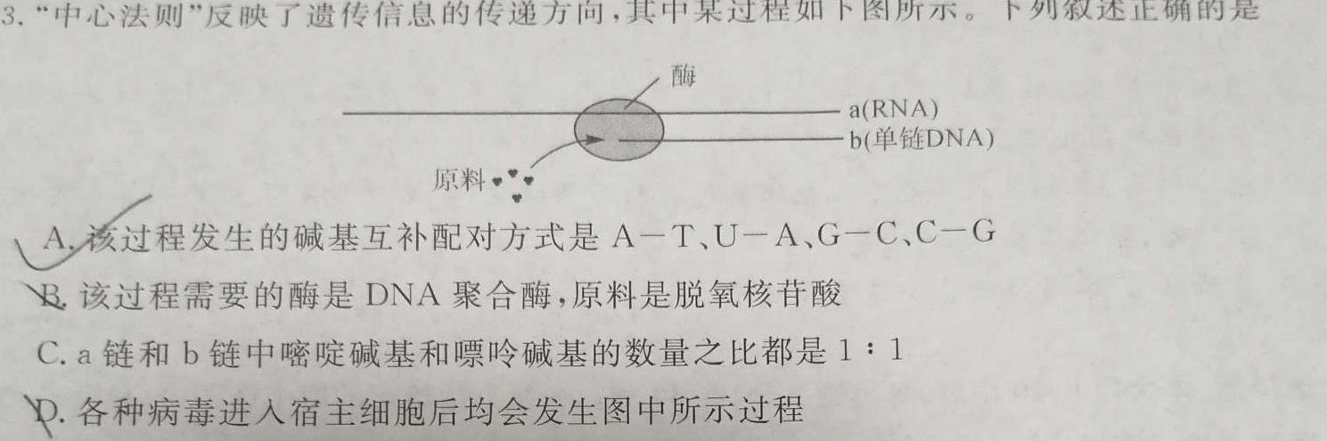 九师联盟2023~2024学年高三核心模拟卷(上)(五)生物