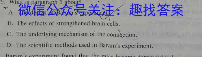 河南省2023-2024学年度八年级上学期期中综合评估【2LR】英语