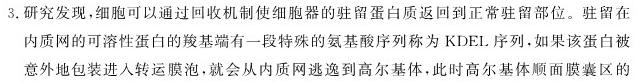 学科网2024届高三11月大联考(全国乙卷)生物