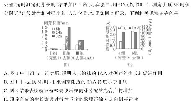 NT2023-2024学年第一学期10月高三阶段测试卷(全国卷)生物